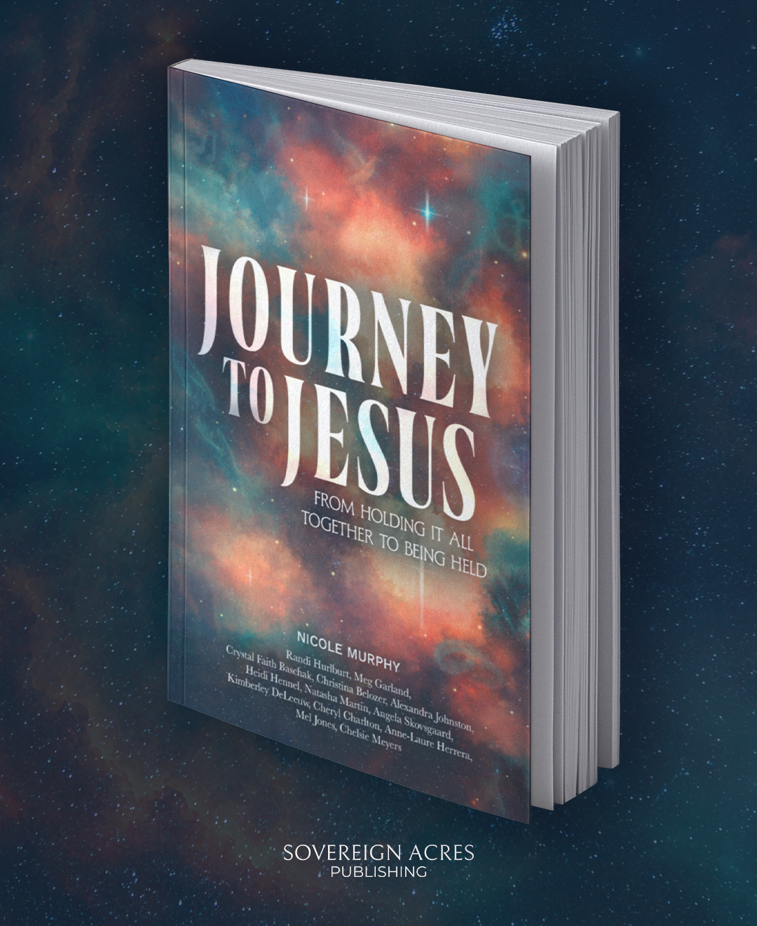 PRE-ORDER Journey to Jesus: From Holding It All Together to Being Held